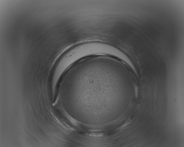 X0000050680156200506151738