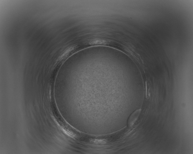 X0000050680157200506151738