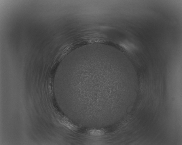 X0000050680169200506151738