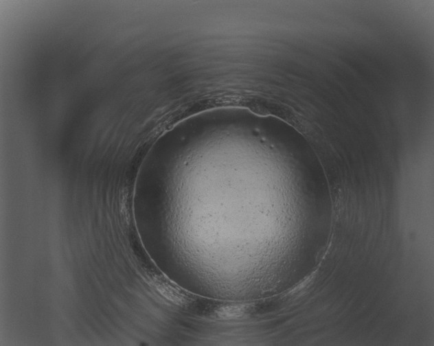 X0000050680178200506151738