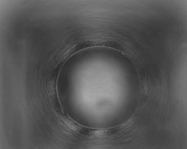 X0000050680184200506151738