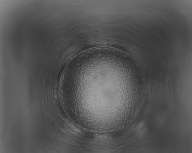 X0000050680185200506151738