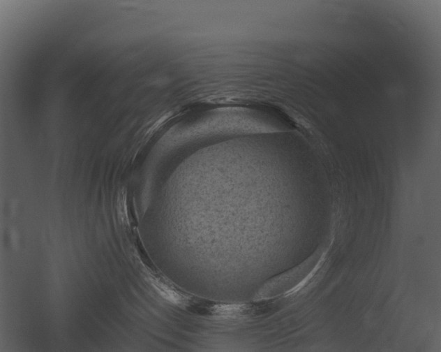 X0000050680192200506151738