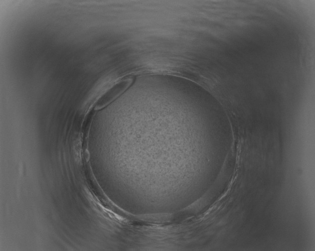 X0000050680194200506151737