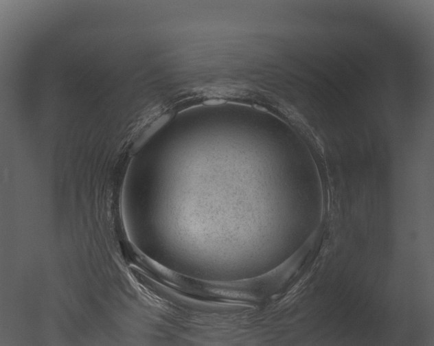 X0000050680201200506151737