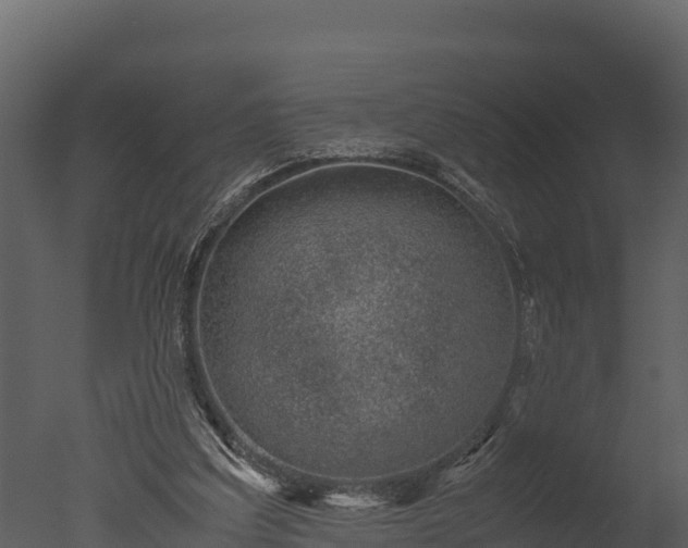 X0000050680203200506151737