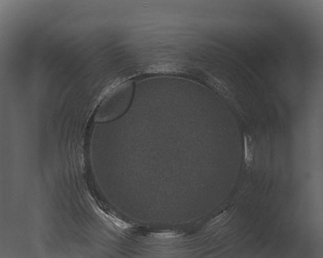 X0000050680204200506151737