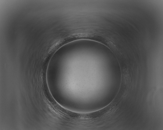 X0000050680207200506151737