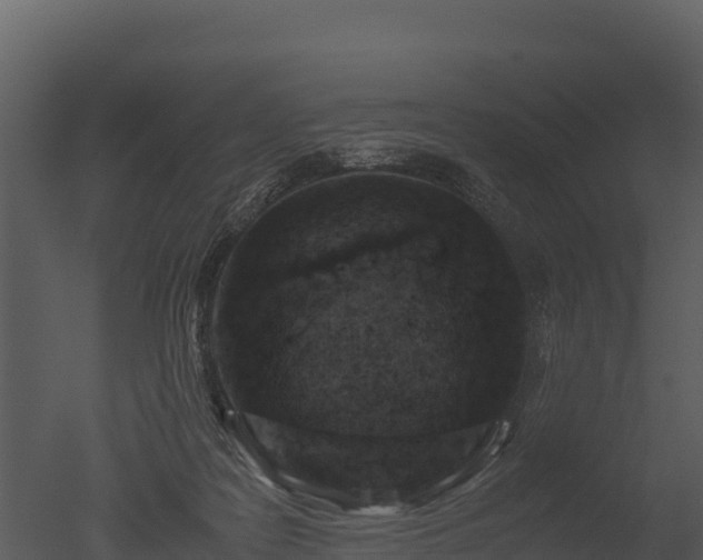 X0000050680219200506151737