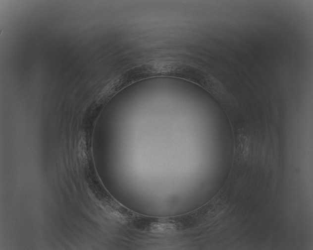 X0000050680220200506151737