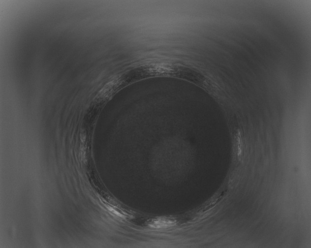 X0000050680223200506151737