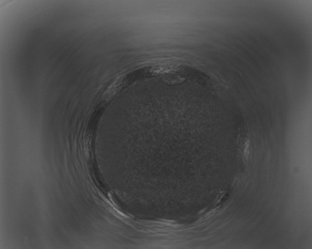 X0000050680227200506151737