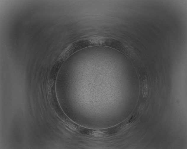 X0000050680229200506151737