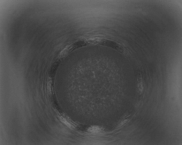 X0000050680231200506151737