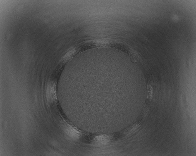 X0000050680238200506151737