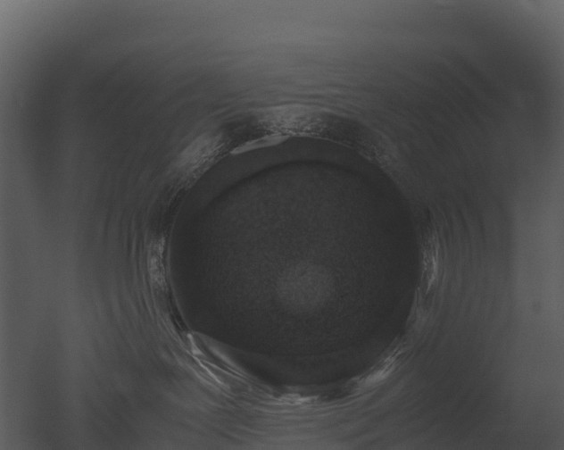 X0000050680239200506151737