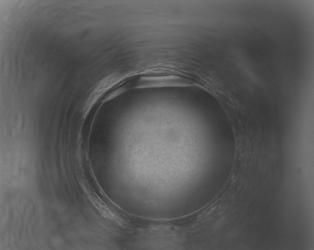 X0000050680242200506151736