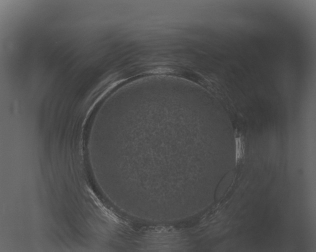 X0000050680243200506151736