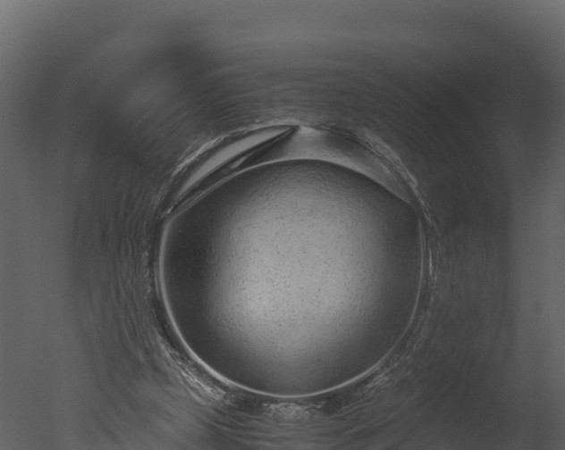 X0000050680249200506151736