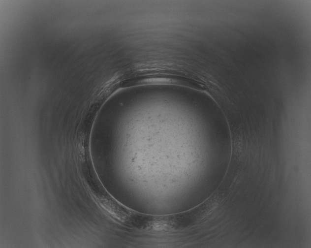 X0000050680264200506151736