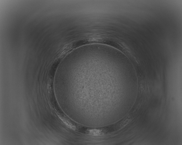 X0000050680265200506151736