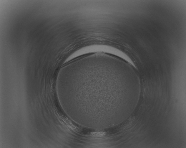 X0000050680266200506151736