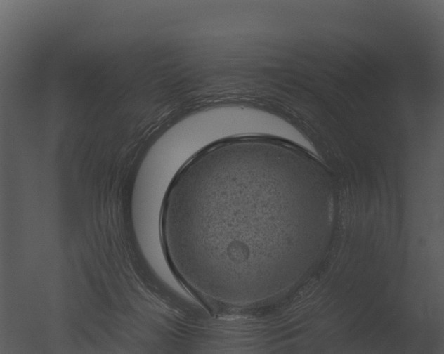 X0000050680268200506151736