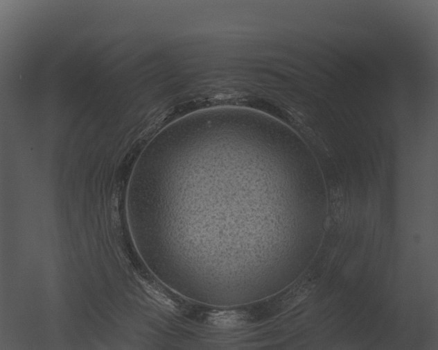 X0000050680269200506151736