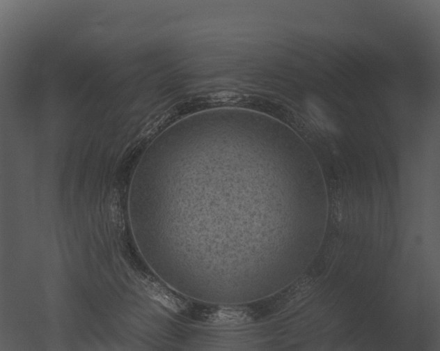 X0000050680270200506151736