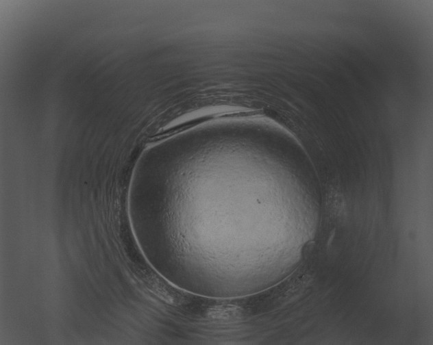 X0000050680271200506151736