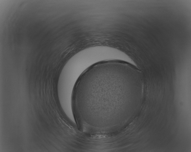 X0000050680276200506151736