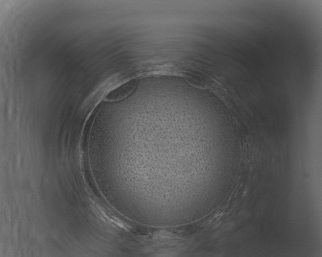 X0000050680290200506151736