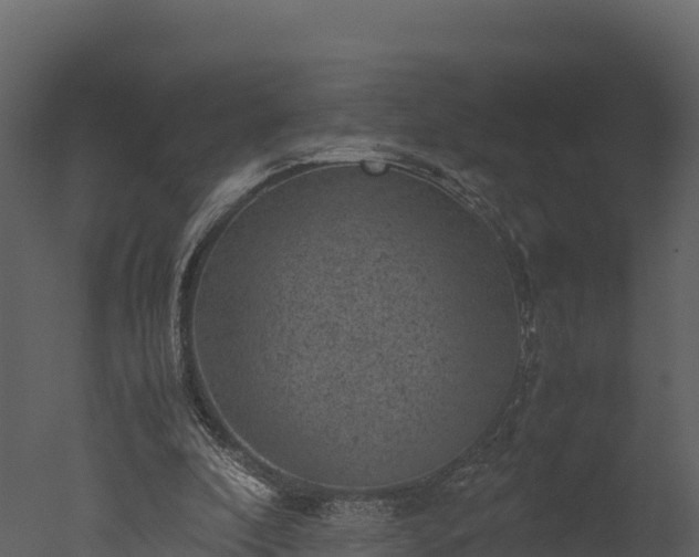 X0000050680296200506151736