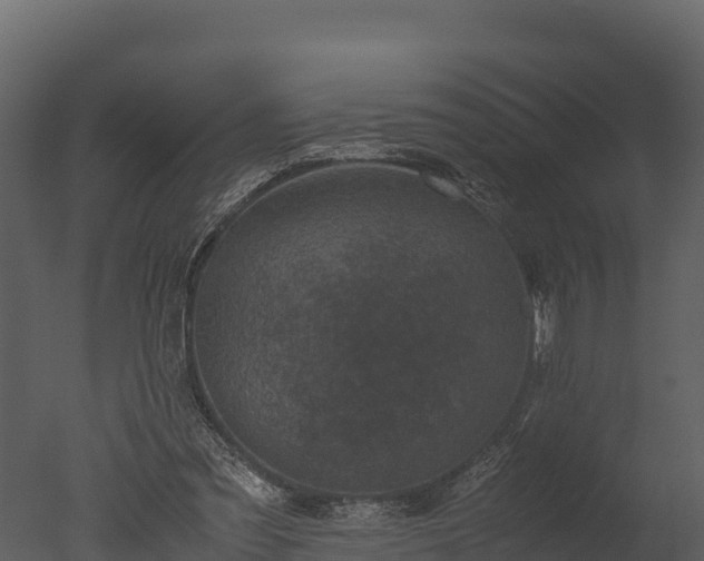 X0000050680301200506151735