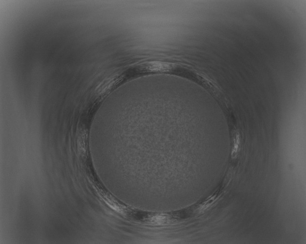 X0000050680325200506151735