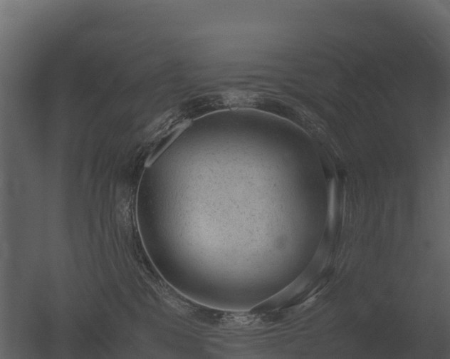 X0000050680329200506151735