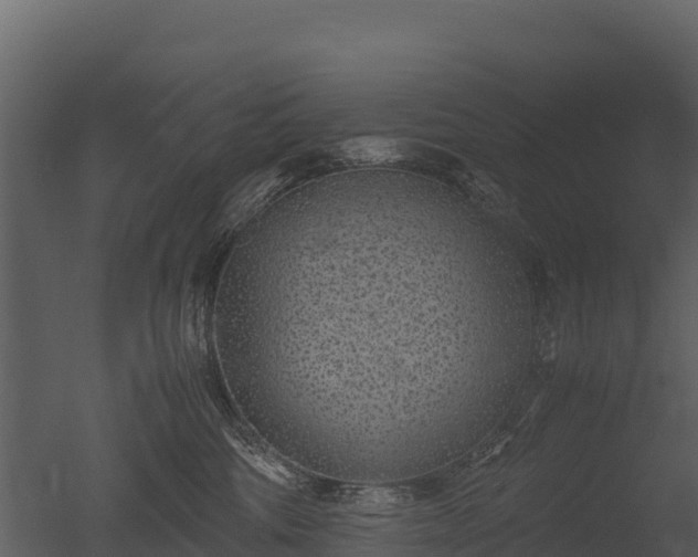 X0000050680330200506151735