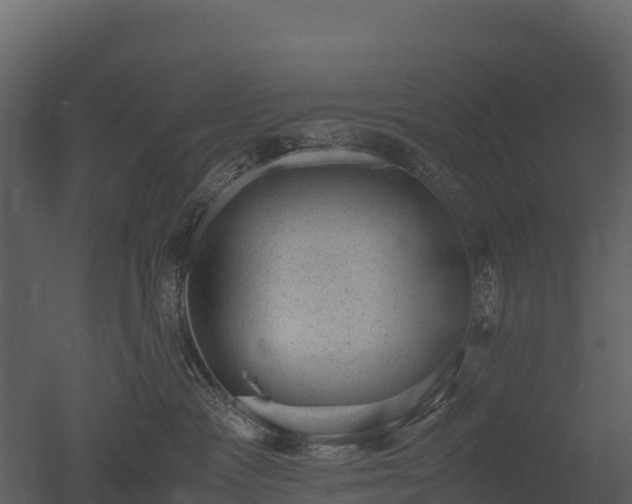 X0000050680333200506151735