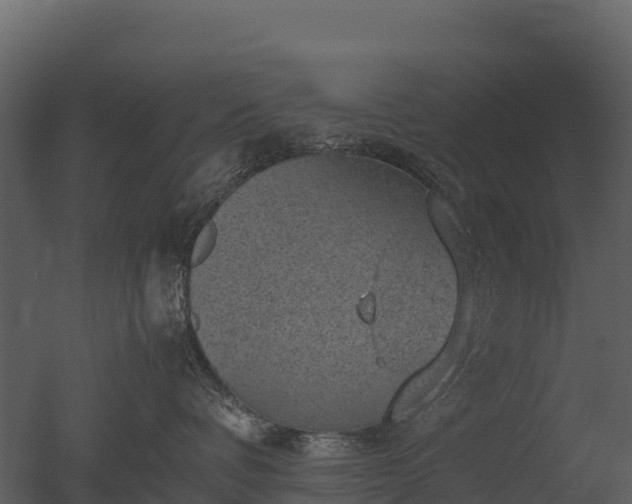 X0000050680336200506151735