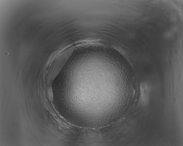 X0000050680337200506151734