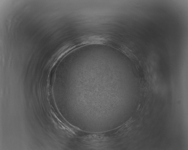 X0000050680338200506151734
