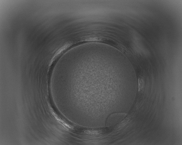 X0000050680349200506151734