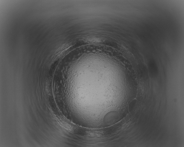 X0000050680359200506151734