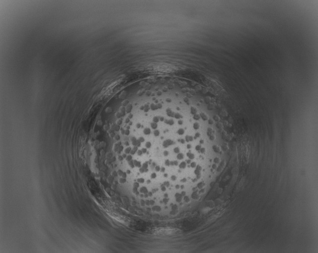 X0000050680360200506151734