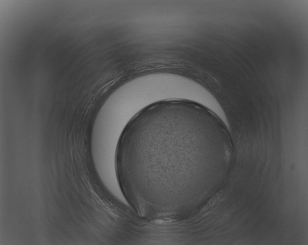 X0000050680364200506151735