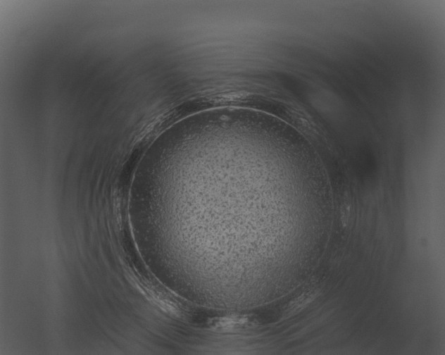 X0000050680366200506151735