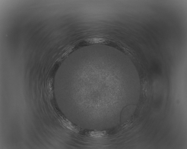 X0000050680373200506151735