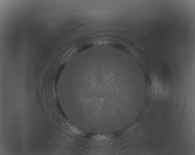 X0000050680381200506151735