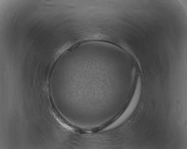 X0000050680389200506151734