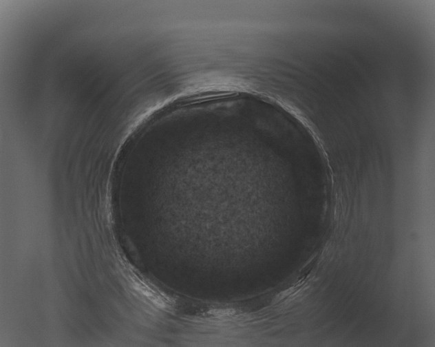 X0000050680391200506151734